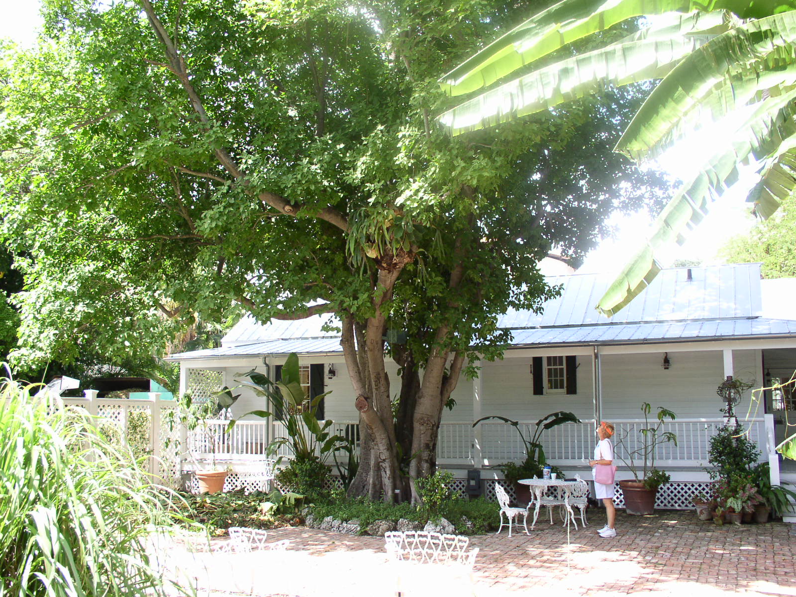 photo1